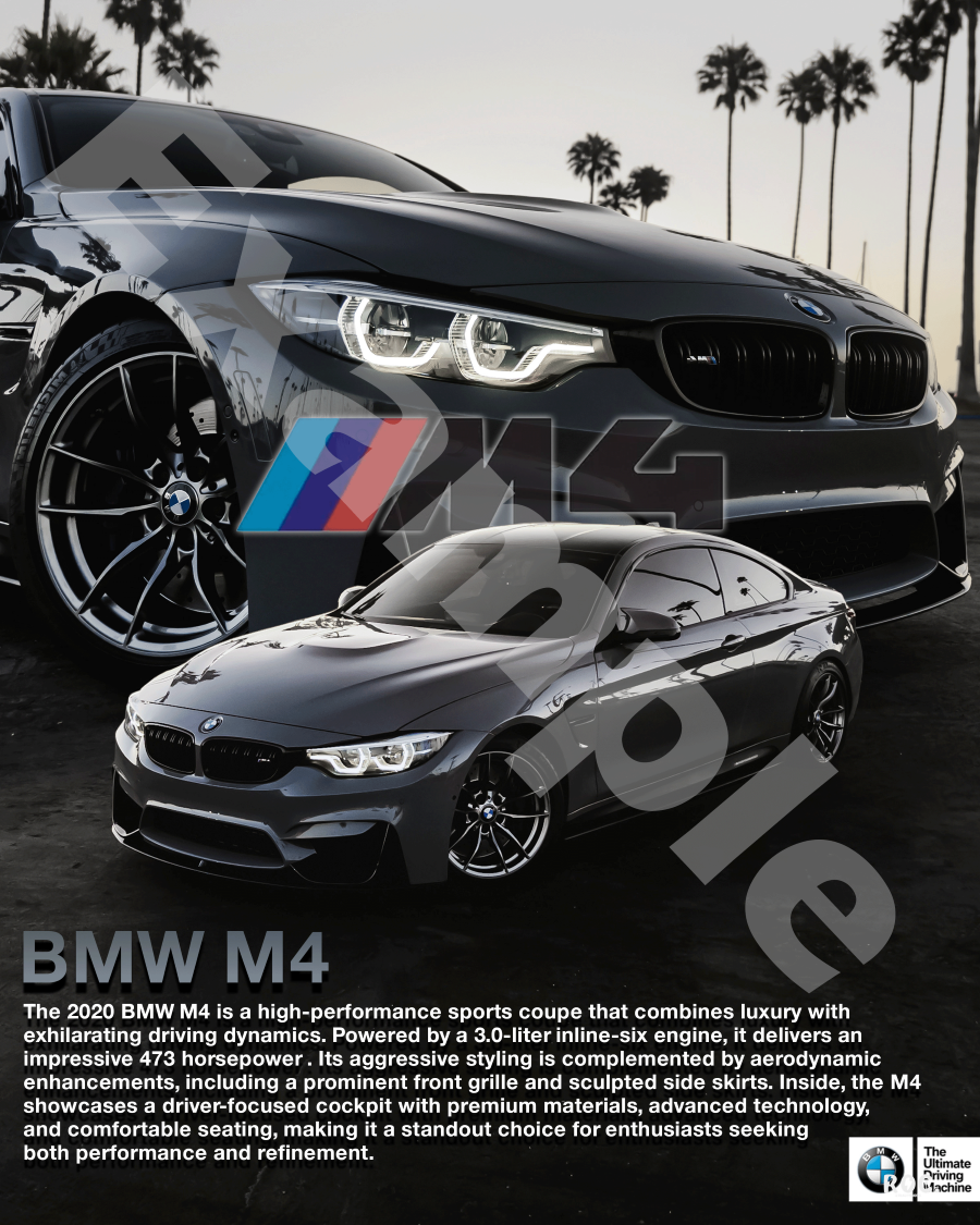 Graphic Design- Poster Style